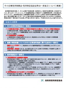 中小企業信用保険法・信用保証協会法等の一部改正についてのサムネイル